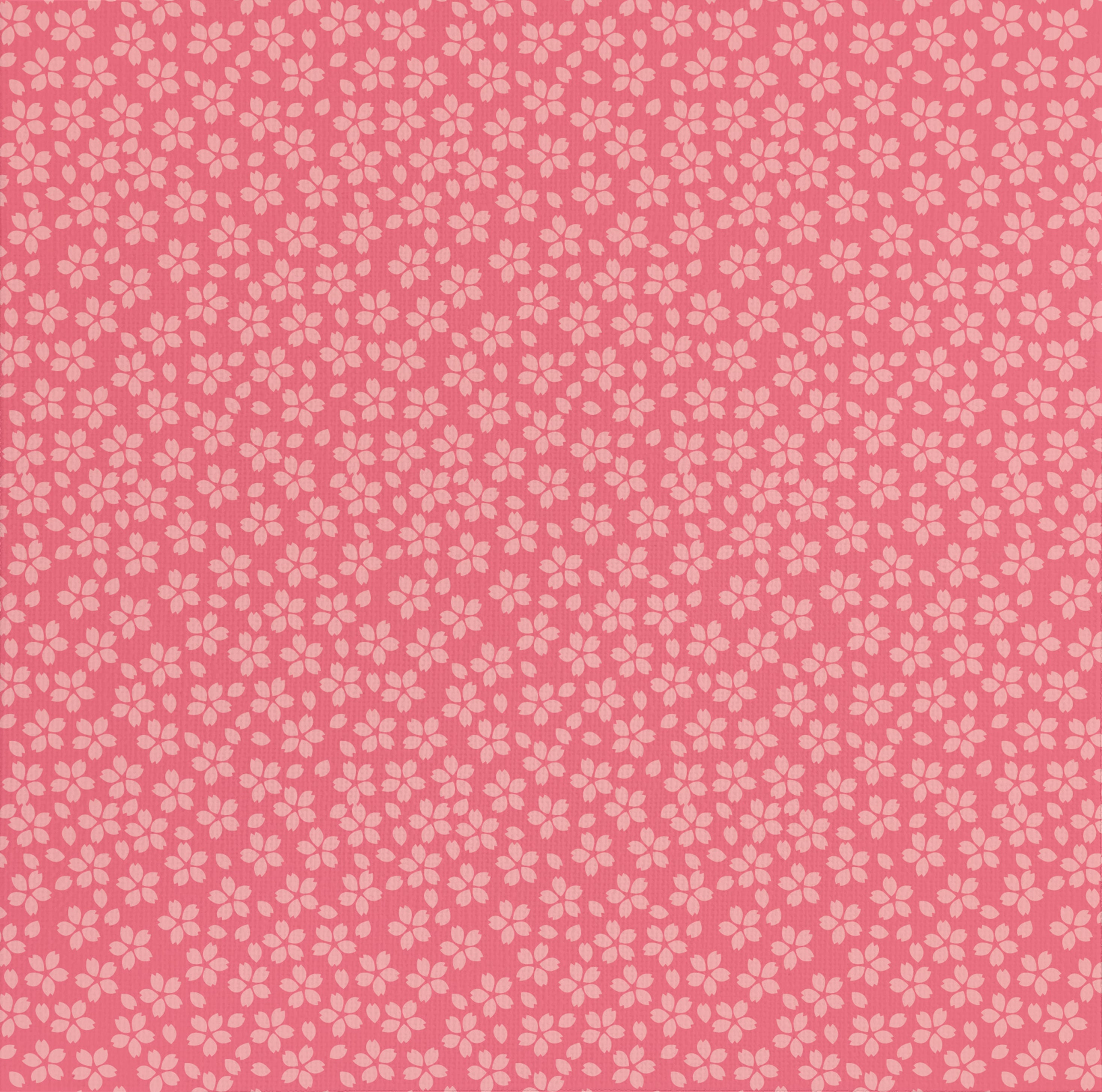 小桜 山桜 【アートパネル】