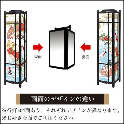 華扇と鯉【角形行灯（大）】