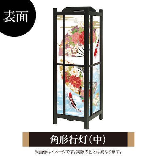 華扇と鯉【角形行灯（中）】