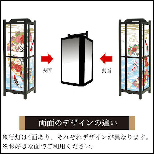 華扇と鯉【角形行灯（中）】