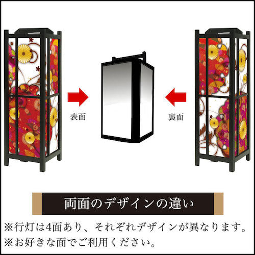 菊煌めく【角形行灯（中）】